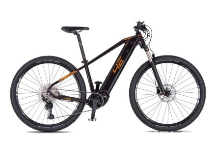 4EVER ESWORD ELITE Lady dark velvet/bronze