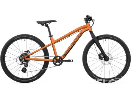 Rock Machine Blizz 24 Matte Orange