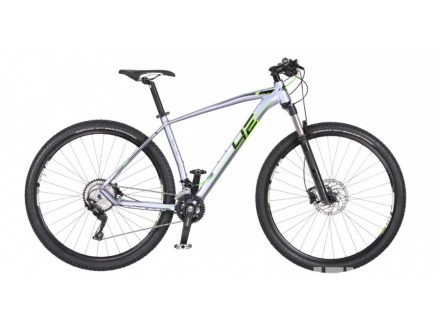 4ever NEONFLY 29" stříbrnofialová 2019